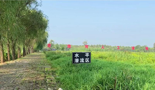 人工湿地