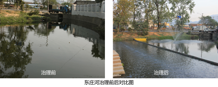 污水处理工程案例