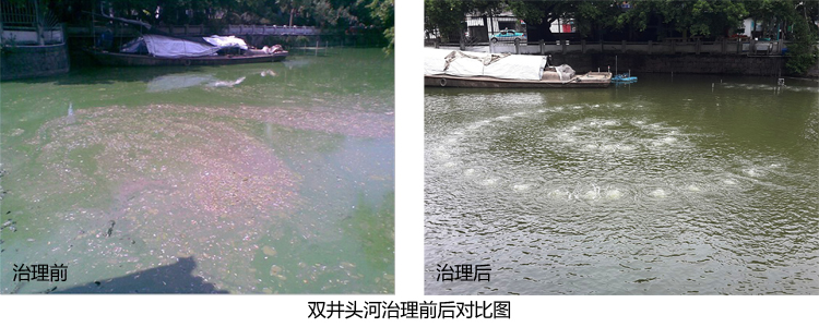 污水处理工程案例
