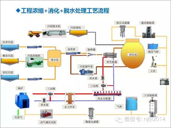 污泥消化