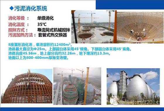 污泥消化