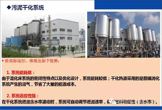 污泥消化
