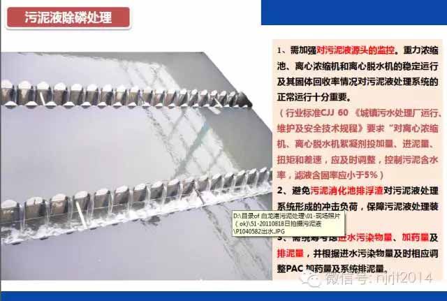 污泥消化