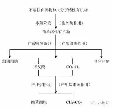 污水处理