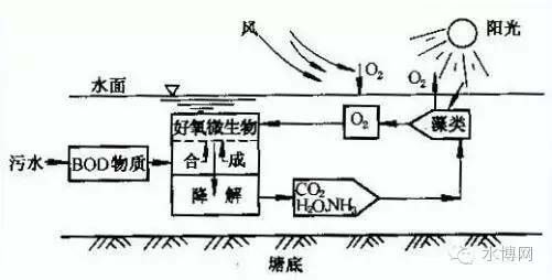 污水处理