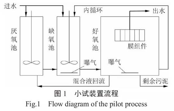 农村生活污水