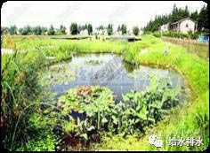 农村污水