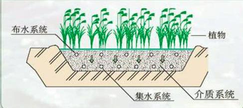 人工湿地